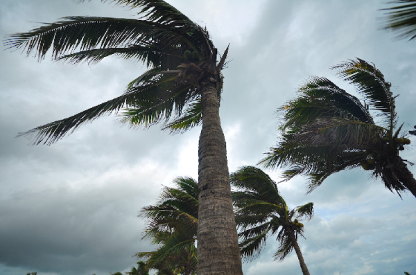 Ron DeSantis' Crypto Campaign Donations Delayed by Hurricane Ron DeSantis' Crypto Campaign Donations Delayed by Hurricane