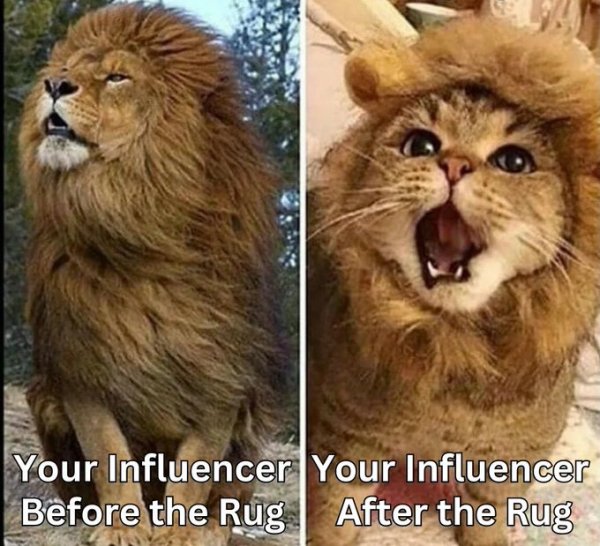 Surging Adoptions, Unsupporting BUSDs, Winning Cases and 20 Crypto Jokes Surging Adoptions, Unsupporting BUSDs, Winning Cases and 20 Crypto Jokes