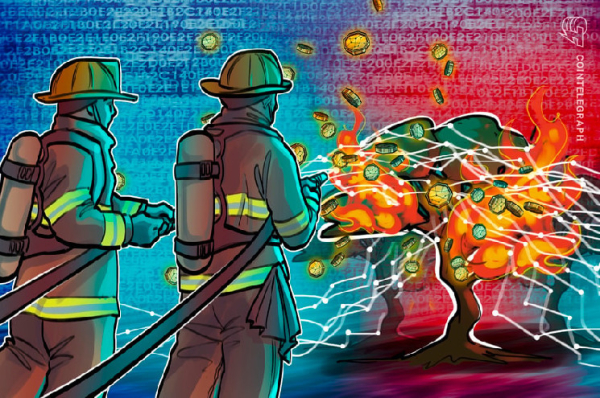 Oprah and The Rock collect crypto donations for Maui wildfires victims Oprah and The Rock collect crypto donations for Maui wildfires victims
