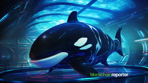 HELLO Labs Partners with MarketAcross to Propel &ldquo;Killer Whales&rdquo; to Global Audiences